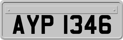 AYP1346
