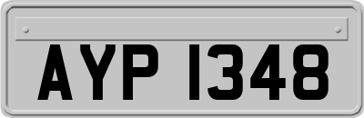 AYP1348