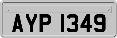 AYP1349