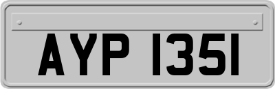 AYP1351