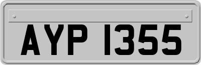AYP1355