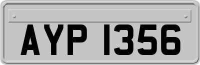 AYP1356