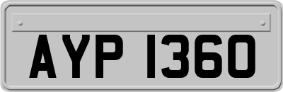 AYP1360