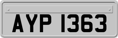 AYP1363