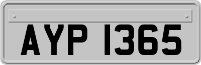 AYP1365