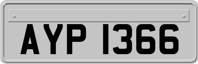 AYP1366