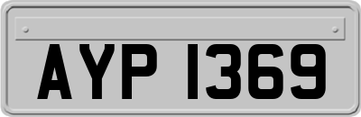 AYP1369