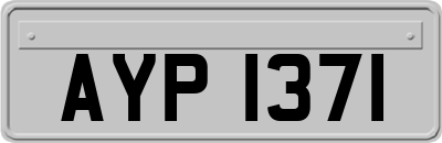 AYP1371