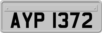 AYP1372