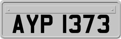 AYP1373