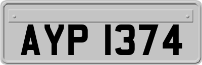 AYP1374