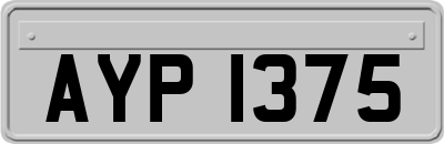 AYP1375