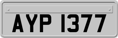 AYP1377