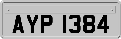 AYP1384