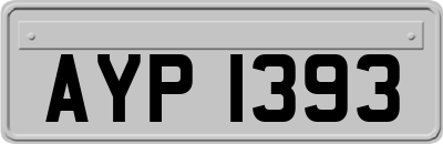 AYP1393