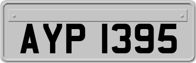 AYP1395