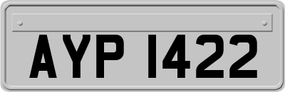 AYP1422