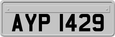 AYP1429