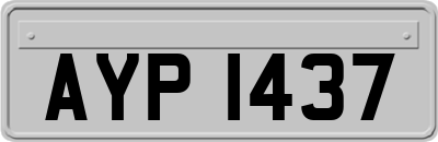 AYP1437