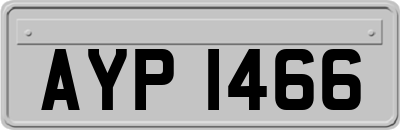 AYP1466
