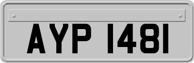 AYP1481