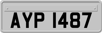 AYP1487