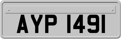 AYP1491