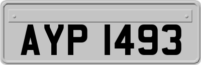 AYP1493