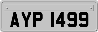 AYP1499
