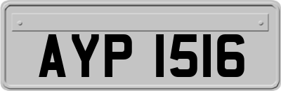 AYP1516