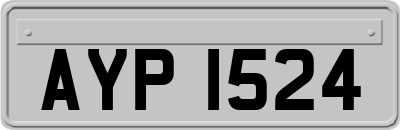 AYP1524
