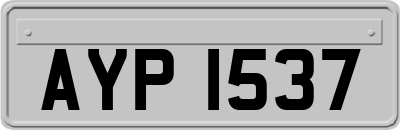 AYP1537