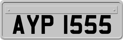 AYP1555