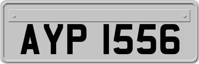 AYP1556
