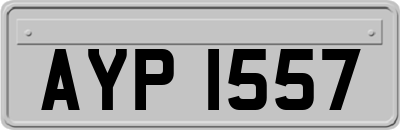 AYP1557