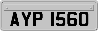 AYP1560