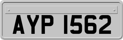 AYP1562