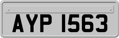 AYP1563