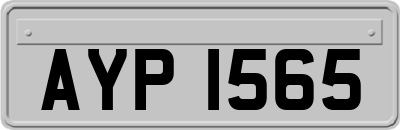 AYP1565