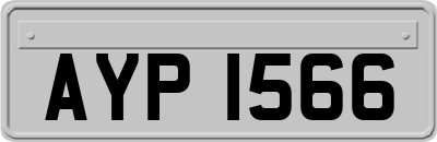 AYP1566