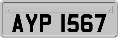 AYP1567