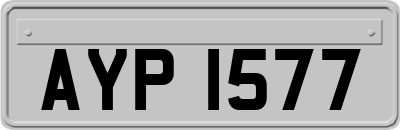AYP1577