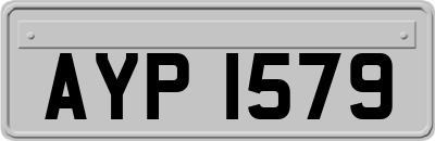 AYP1579
