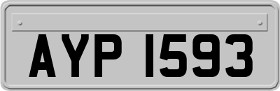 AYP1593