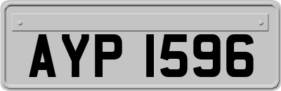 AYP1596