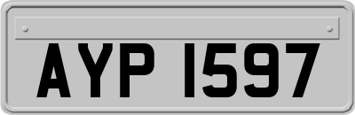AYP1597