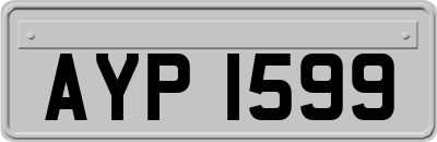 AYP1599