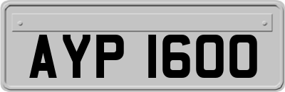 AYP1600