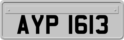 AYP1613