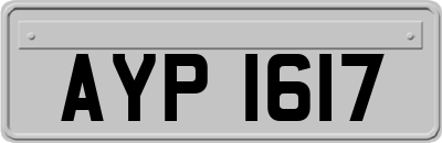AYP1617
